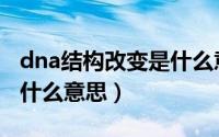 dna结构改变是什么意思啊（dna结构改变是什么意思）
