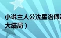 小说主人公沈星洛傅司辰（沈星洛傅斯辰机长大结局）