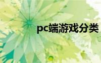 pc端游戏分类（pc游戏分类）