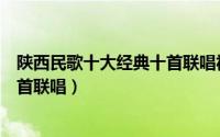 陕西民歌十大经典十首联唱视频播放（陕西民歌十大经典十首联唱）