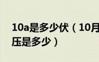 10a是多少伏（10月08日纽扣电池提供的电压是多少）