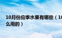 10月份应季水果有哪些（10月08日热水器里的碳棒是干什么用的）