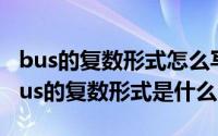 bus的复数形式怎么写（10月08日英语单词bus的复数形式是什么）