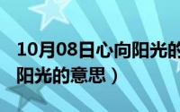 10月08日心向阳光的意思是（10月08日心向阳光的意思）