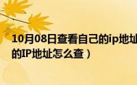 10月08日查看自己的ip地址怎么查看（10月08日查看自己的IP地址怎么查）