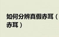 如何分辨真假赤耳（10月08日怎么区别真假赤耳）