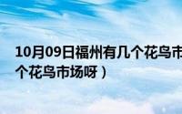 10月09日福州有几个花鸟市场呀视频（10月09日福州有几个花鸟市场呀）
