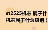 st2525机芯 属于什么级别（10月09日st25机芯属于什么级别）
