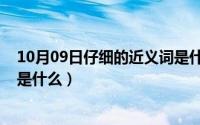 10月09日仔细的近义词是什么词（10月09日仔细的近义词是什么）