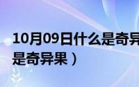10月09日什么是奇异果会员（10月09日什么是奇异果）