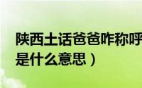 陕西土话爸爸咋称呼（10月09日陕西话小爸是什么意思）