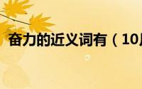 奋力的近义词有（10月08日奋力的近义词）