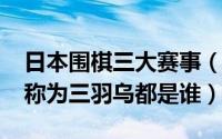 日本围棋三大赛事（10月09日日本围棋里被称为三羽乌都是谁）