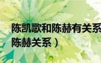 陈凯歌和陈赫有关系吗（10月08日陈凯歌和陈赫关系）