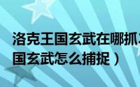 洛克王国玄武在哪抓2020（10月08日洛克王国玄武怎么捕捉）
