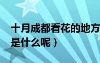 十月成都看花的地方（10月09日成都的市花是什么呢）