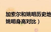 加索尔和姚明历史地位（10月09日加索尔和姚明身高对比）