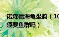 诺森德海龟坐骑（10月09日诺森德钓海龟必须要鱼群吗）