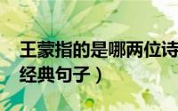 王蒙指的是哪两位诗人（10月10日王蒙的诗经典句子）