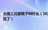 火线三兄弟桃子叫什么（10月08日火线三兄弟为什么桃子不见了）