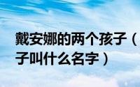 戴安娜的两个孩子（10月09日戴安娜的大儿子叫什么名字）