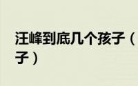 汪峰到底几个孩子（10月09日汪峰有几个孩子）
