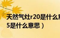 天然气灶r20是什么意思（10月08日燃气灶r5是什么意思）