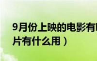 9月份上映的电影有哪些（10月09日下载影片有什么用）