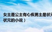 女主是公主有心疾男主是状元（10月10日女主是公主男主是状元的小说）
