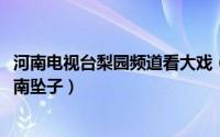 河南电视台梨园频道看大戏（10月10日梨园频道几点播放河南坠子）