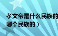 孝文帝是什么民族的人（10月10日孝文帝是哪个民族的）