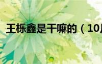 王栎鑫是干嘛的（10月08日王栎鑫的资料）