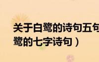 关于白鹭的诗句五句（10月08日4首关于白鹭的七字诗句）