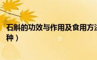 石斛的功效与作用及食用方法（10月10日5 最好的石斛是哪种）