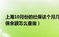 上海10月份的社保这个月几号可以查到（10月10日上海社保余额怎么查询）