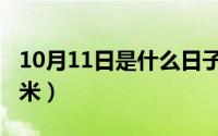 10月11日是什么日子（10月11日斗米是什么米）