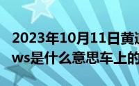 2023年10月11日黄道吉日查询（10月11日pws是什么意思车上的）