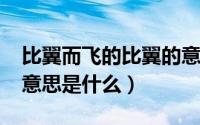 比翼而飞的比翼的意思（10月08日比翼而飞意思是什么）