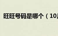 旺旺号码是哪个（10月08日旺旺号是什么）