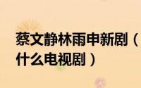 蔡文静林雨申新剧（10月10日蔡文静林雨申什么电视剧）