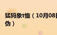 猛犸象t恤（10月08日猛犸象衣服怎么辨别真伪）