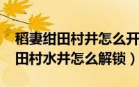 稻妻绀田村井怎么开（10月11日原神稻妻绀田村水井怎么解锁）