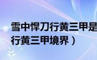 雪中悍刀行黄三甲是谁（10月08日雪中悍刀行黄三甲境界）