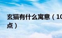 玄猫有什么寓意（10月11日玄猫的特征和特点）