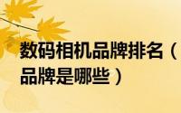 数码相机品牌排名（10月11日数码相机十大品牌是哪些）