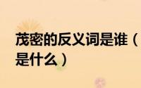 茂密的反义词是谁（10月11日茂密的反义词是什么）