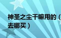 神圣之尘干嘛用的（10月11日tbc神圣之尘去哪买）