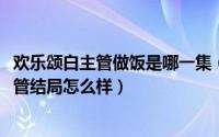 欢乐颂白主管做饭是哪一集（10月11日欢乐颂电视剧中白主管结局怎么样）