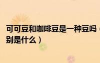 可可豆和咖啡豆是一种豆吗（10月11日可可豆与咖啡豆的区别是什么）