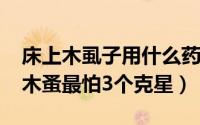 床上木虱子用什么药能杀死（10月11日床上木蚤最怕3个克星）